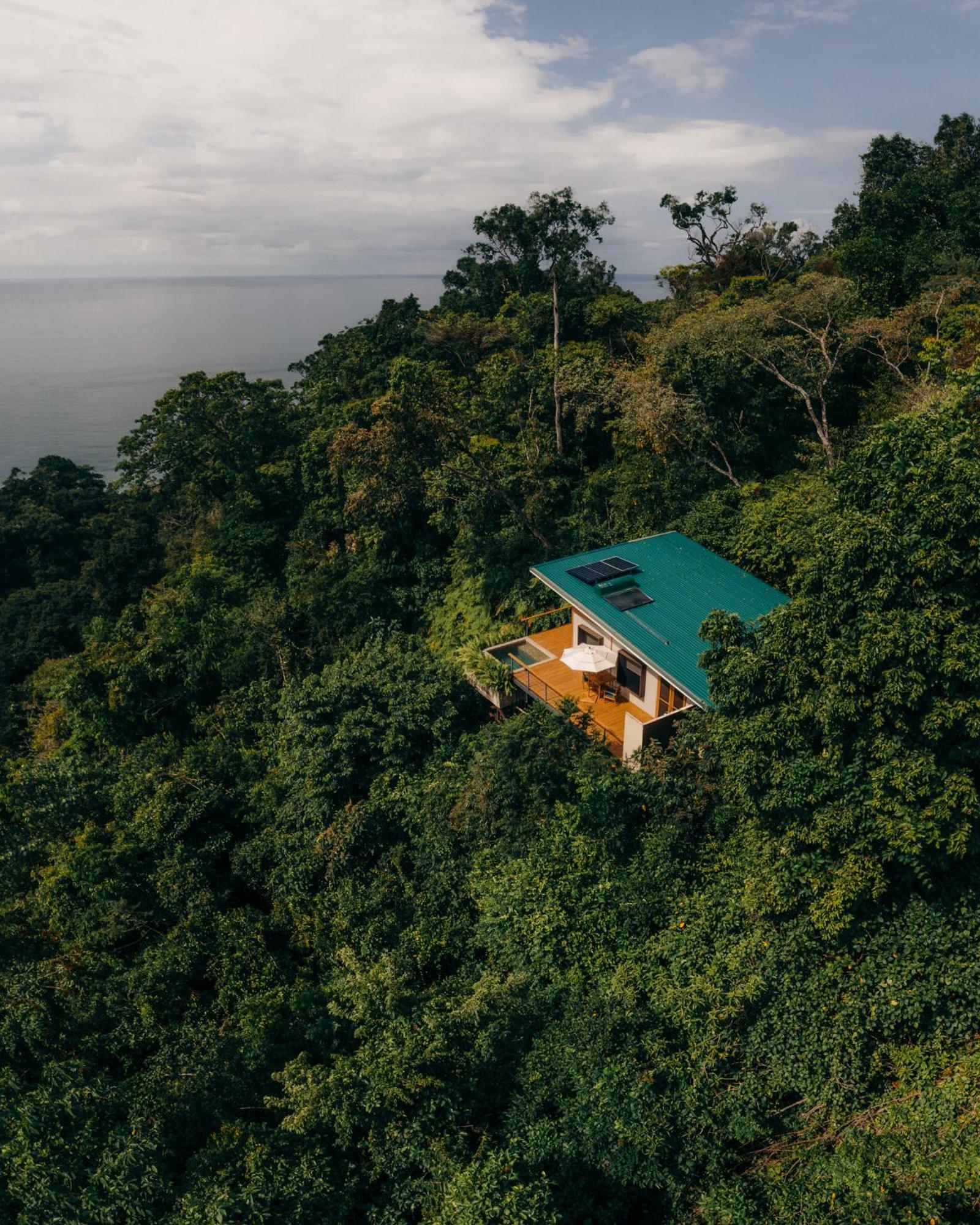 El Remanso Rainforest Lodge Puerto Jiménez Eksteriør bilde