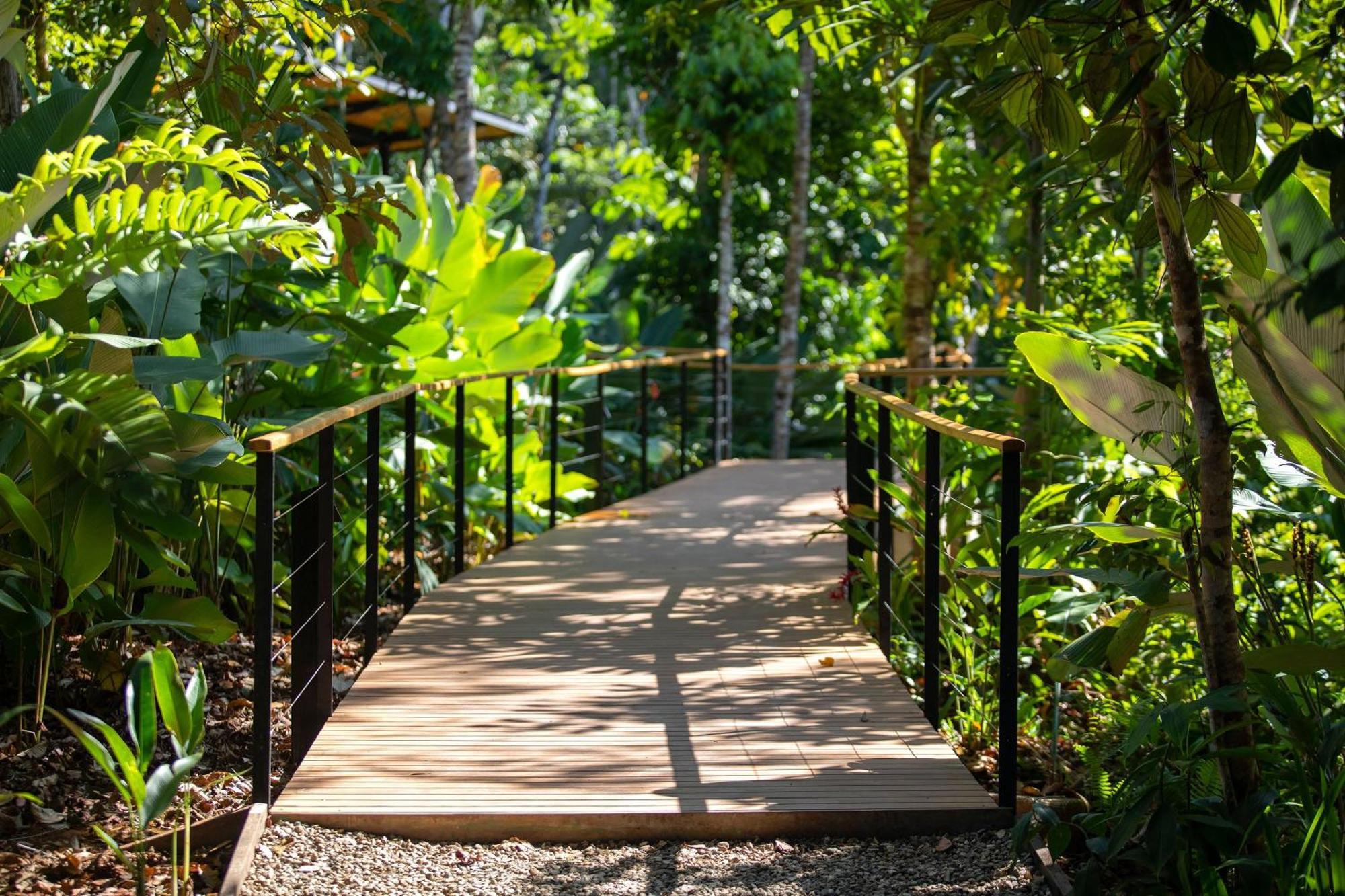El Remanso Rainforest Lodge Puerto Jiménez Eksteriør bilde