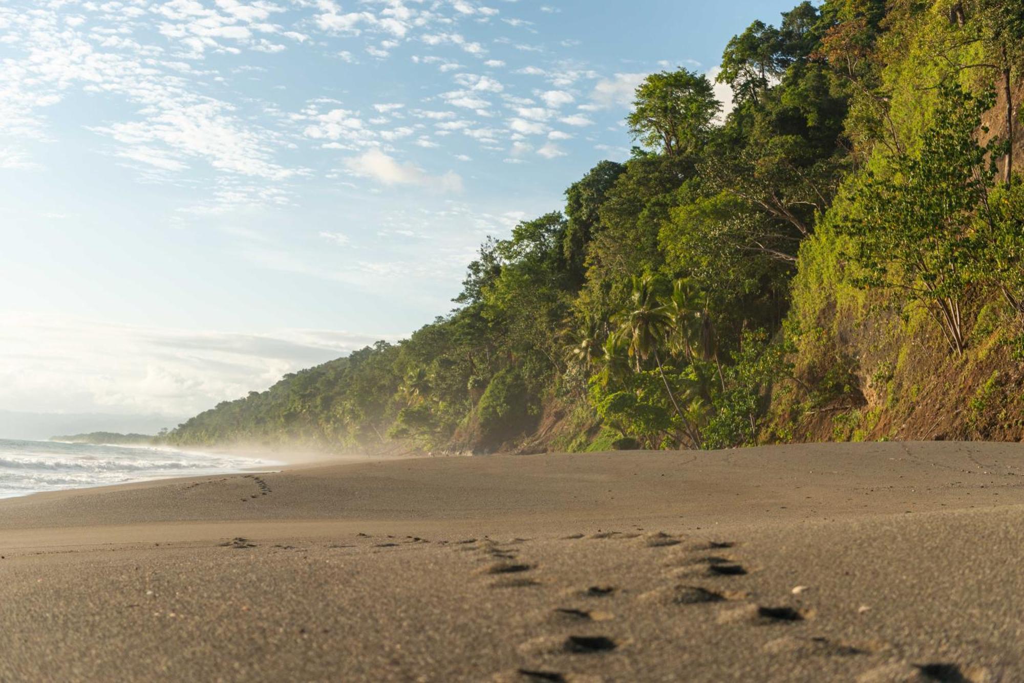 El Remanso Rainforest Lodge Puerto Jiménez Eksteriør bilde