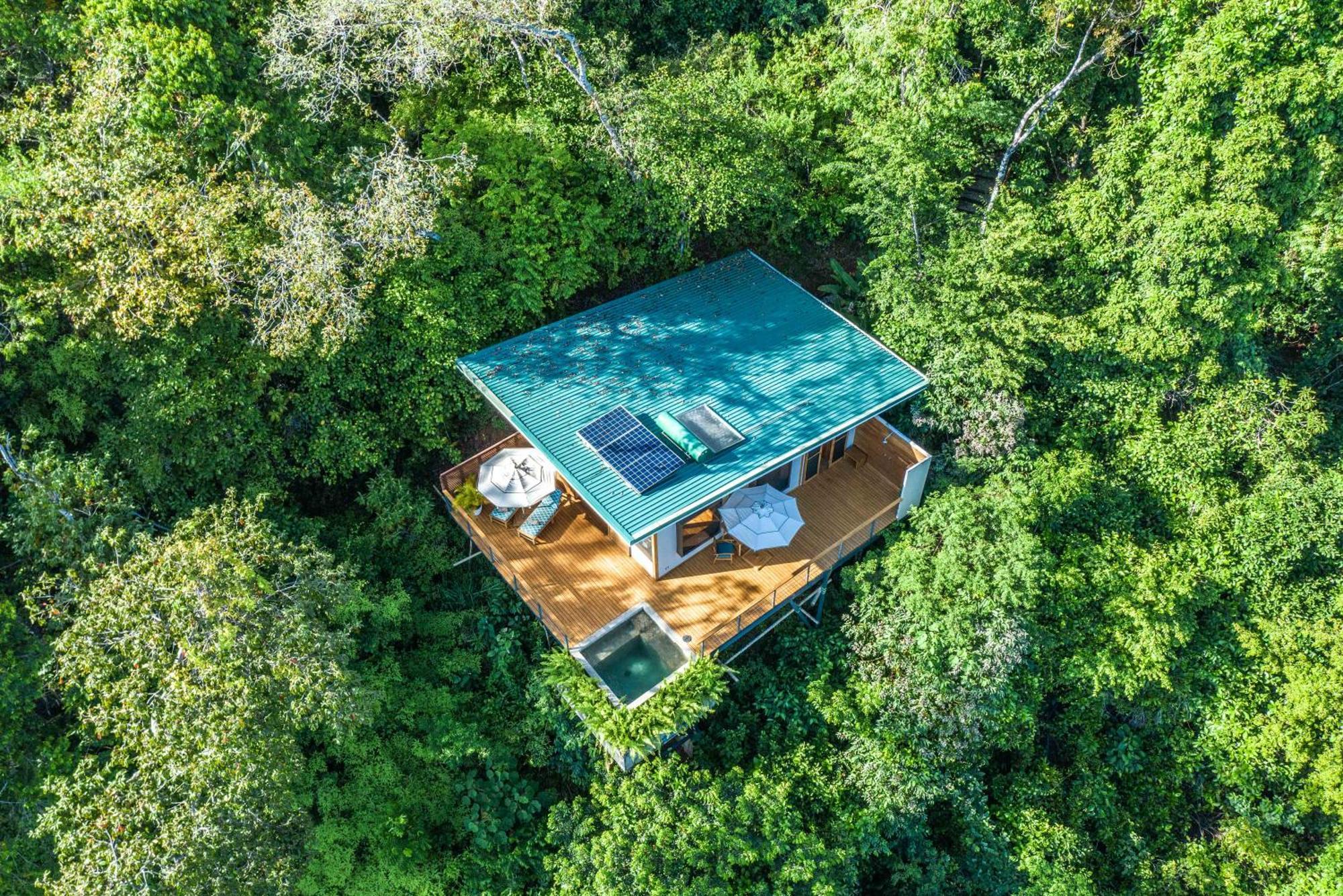 El Remanso Rainforest Lodge Puerto Jiménez Eksteriør bilde